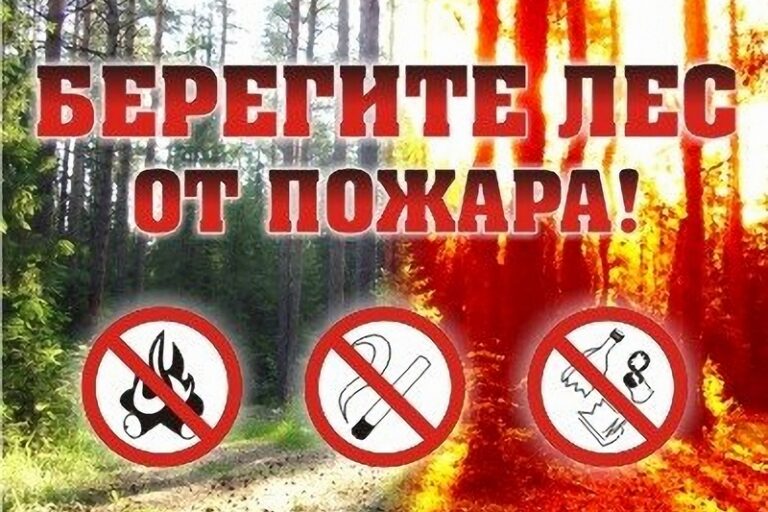 Правила пожарной безопасности на природе